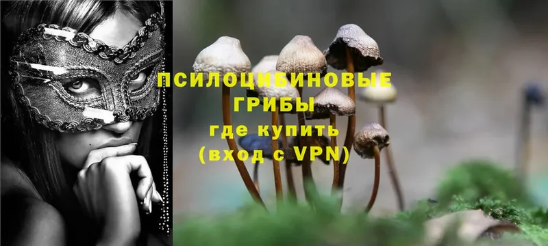 Псилоцибиновые грибы MAGIC MUSHROOMS  Саки 